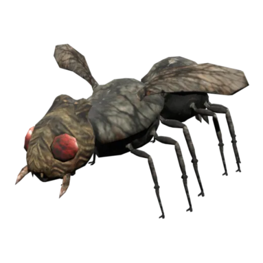 Carrion Fly